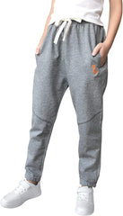 Toddler Boys Jogger Active Athletic Pants Dinosaur Sweatpants (1-Pack 2-Pack)