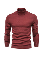 Stretch Turtleneck Knit
