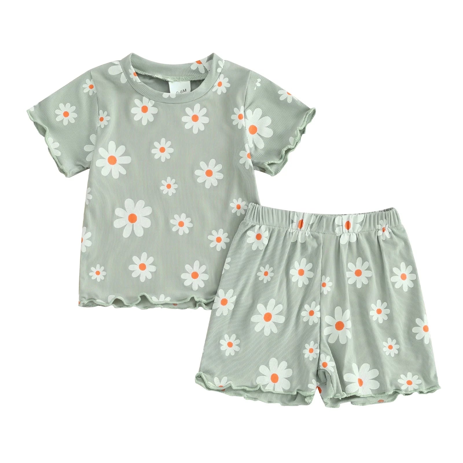 Toddler Baby Girl Summer Short Clothes Outfit, 0 6 12 18 24 Months 2T 3T Floral Print Crew Neck Short Sleeve T-Shirts Tops and Shorts 2Pcs Set