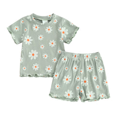 Toddler Baby Girl Summer Short Clothes Outfit, 0 6 12 18 24 Months 2T 3T Floral Print Crew Neck Short Sleeve T-Shirts Tops and Shorts 2Pcs Set
