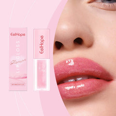 Glamour Enhancing Lip Gloss