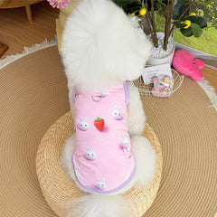 Spring pet apparel: cat & dog clothing - cartoon 3d print, teddy style, cute & breathable, anti-shedding, dropshipping available