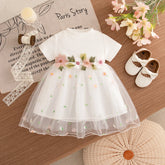 Floral Mesh Princess Baby Dress