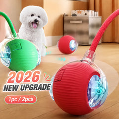 Smart Automatic Rolling Dog Ball