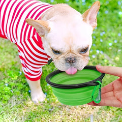 Durable TPR Collapsible Travel Bowl