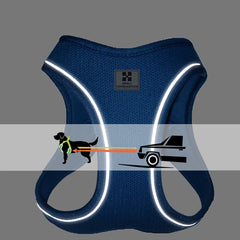 Reflective Outdoor Walking Harness Set