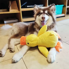 Cuddly Yellow Duck Squeak Toy