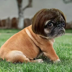 Pet Wig Accessories Dog Headdress Funny Costume Puppy Cosplay Dress Up Cute Pet Wig Cosplay Funny Props Head Accessories