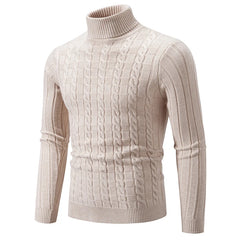 Slim Solid Turtleneck Pullover