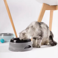 Non-Slip Floating Design Water Bowl