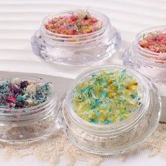 Nail Art Dried Flower Decoration Nail DIY Manicure For Nails Art Jewelry Flower Beauty Salon Decoration E3C5