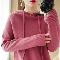 Soft Knit Hooded Pullover Sweater