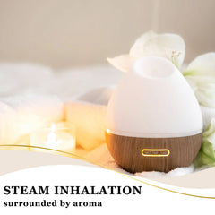 Plant Aromatherapy Essential Oil Blend