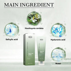 Heartleaf Pore Control Facial Cleanser