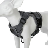 Adjustable Pet Harness Leash Set