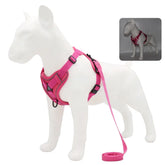 Padded Breakaway Vest Harness Set