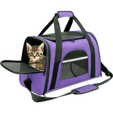 Airline Approved 20lbs Pet Carrier