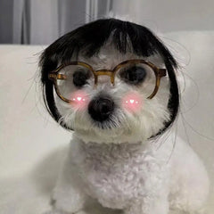 Cat Wig Accessories Dog Headdress Funny Costume Puppy Cosplay Dress Up Cute Pet Wig Cosplay Funny Props Puppy Costumes Supplies