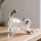 New Cat Hair Storage Keychain Bag Pendant Transparent Pet Fur Keepsake Capsule Souvenir Collection Gift Decoration Accessories