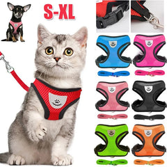 Breathable Mesh Vest Lead Leash