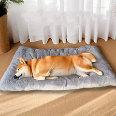 Thickened Super Soft Plush Sofa Bed