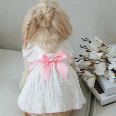 Sweet Cotton Pet Skirt Dress