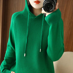 Soft Knit Hooded Pullover Sweater
