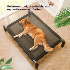 Chew-Proof All Season Cot Bed