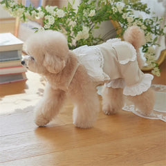 Cute Lace Pet Overalls Jumpsuit