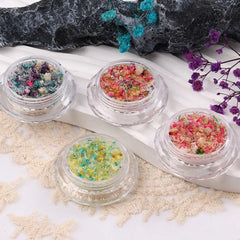 Nail Art Dried Flower Decoration Nail DIY Manicure For Nails Art Jewelry Flower Beauty Salon Decoration E3C5