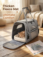 Airline Approved Soft Pet Carrier