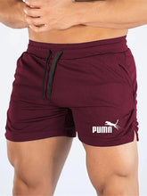 Beach Mesh Print Casual Shorts