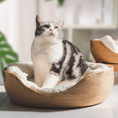 Woven Rattan Cozy Sleeping Nest