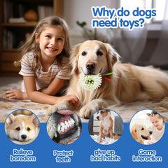Pet dog toy, rubber tennis ball, prick ball, squeaking, grinding teeth, relieving boredom, accompanying various dogs of all size