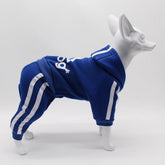 Comfortable Spring Dog Sports Suit