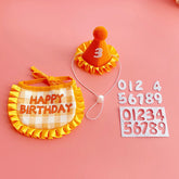 Birthday Party Pet Hat Set