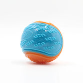 Dogs Interactive Toys Soft TPR Toys for Dog Pet Teeth Cleaning Bite Resistance Squeaky Dog Ball Toy