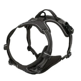 Complete Dog Collar Harness Set