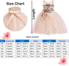 Flower Girl Dress,Toddler Formal Dress Birthday Party Wedding Floral Embroidered Tulle Satin Dresses for Kids Age 2-12