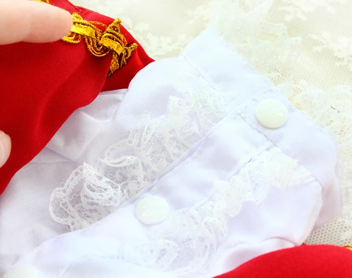 Handmade Unique Design Dog Clothes European Court Style Pet Costume Suit Lace Cuffs Collar Twin Sets Apparel Cat Poodle Maltese