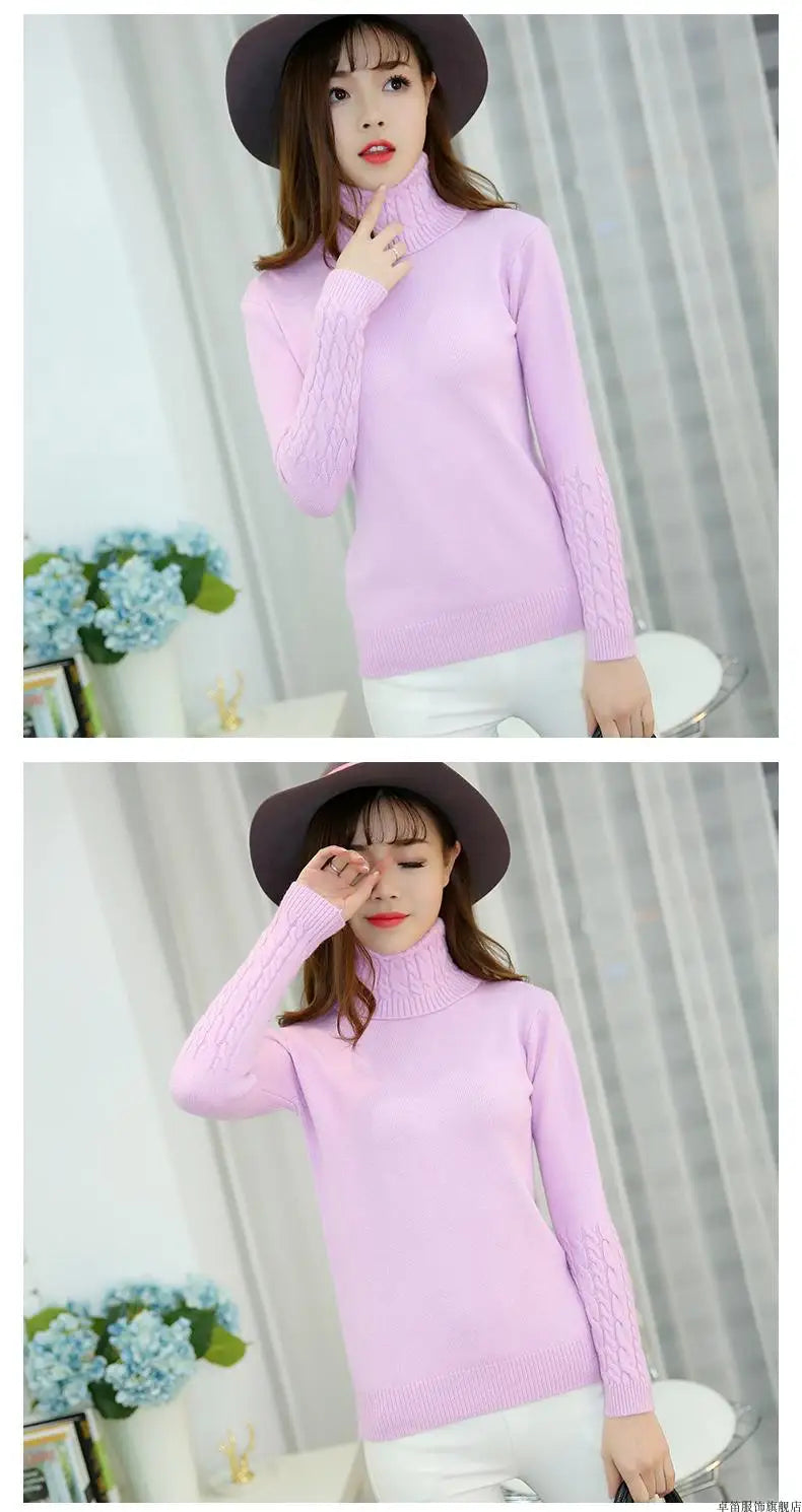 Cashmere Style Turtleneck Knit Pullover