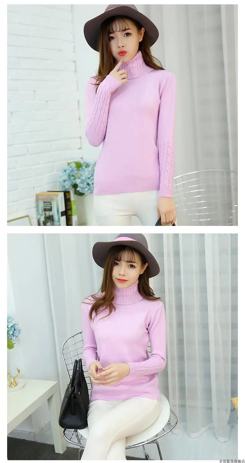 Cashmere Style Turtleneck Knit Pullover