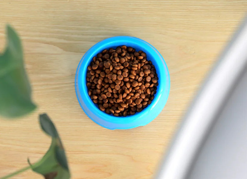 Practical Colorful Round Travel Bowl