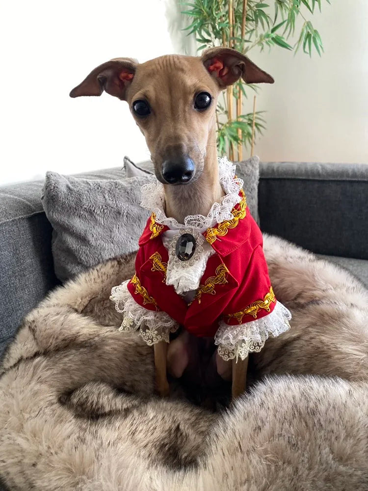 Handmade Unique Design Dog Clothes European Court Style Pet Costume Suit Lace Cuffs Collar Twin Sets Apparel Cat Poodle Maltese
