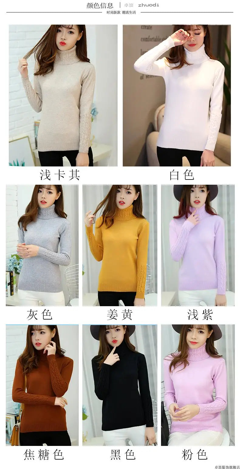 Cashmere Style Turtleneck Knit Pullover