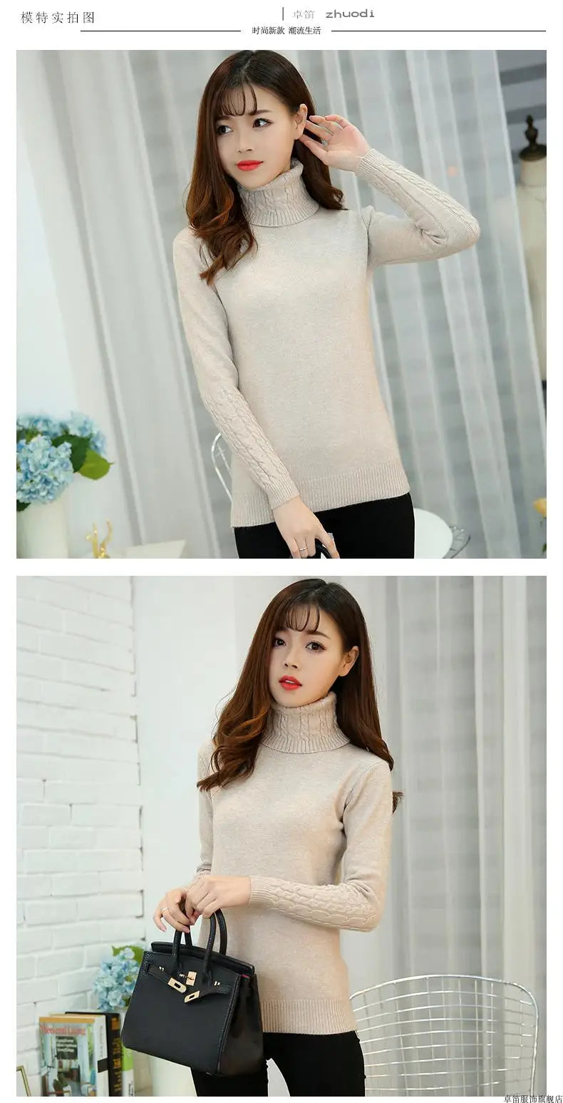 Cashmere Style Turtleneck Knit Pullover