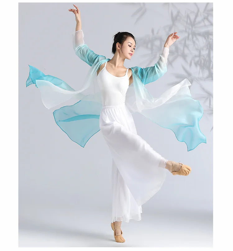 Classical Gradient Chiffon Dance Dress