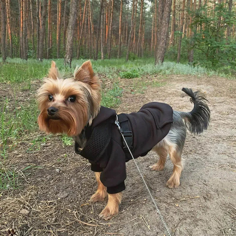 Cozy Pocket Dog Hoodie Coat