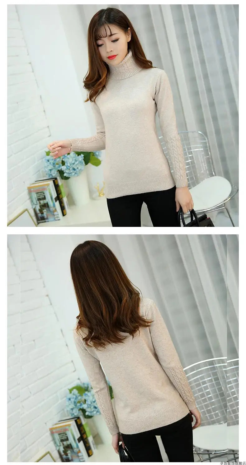 Cashmere Style Turtleneck Knit Pullover