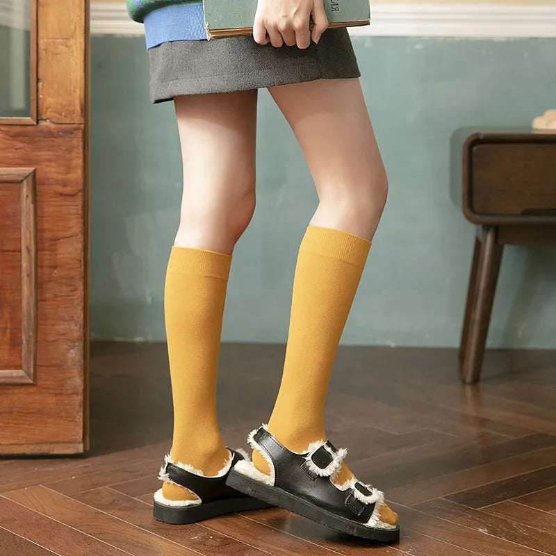 Solid Cotton Thigh High Socks